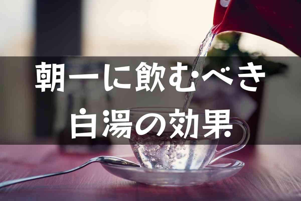 胃腸を愛でる 朝一に飲むべき白湯の効果とただのお湯との違い もるぶろぐ